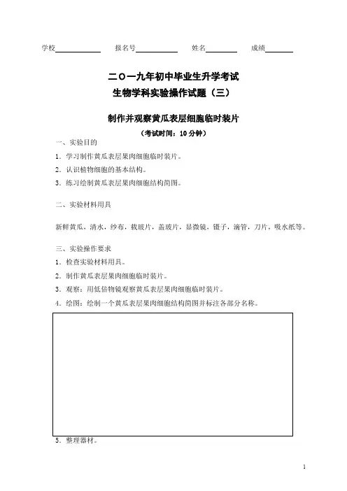 制作并观察黄瓜表层细胞临时装片+人的口腔上皮细胞+洋葱鳞片叶内表皮细胞临时装片