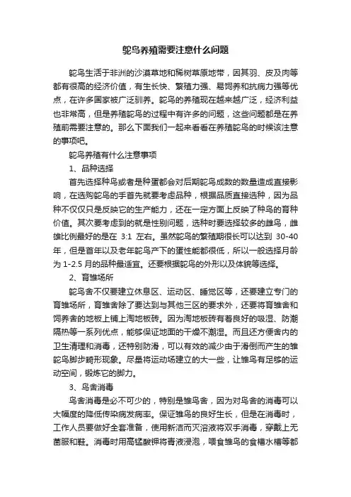 鸵鸟养殖需要注意什么问题