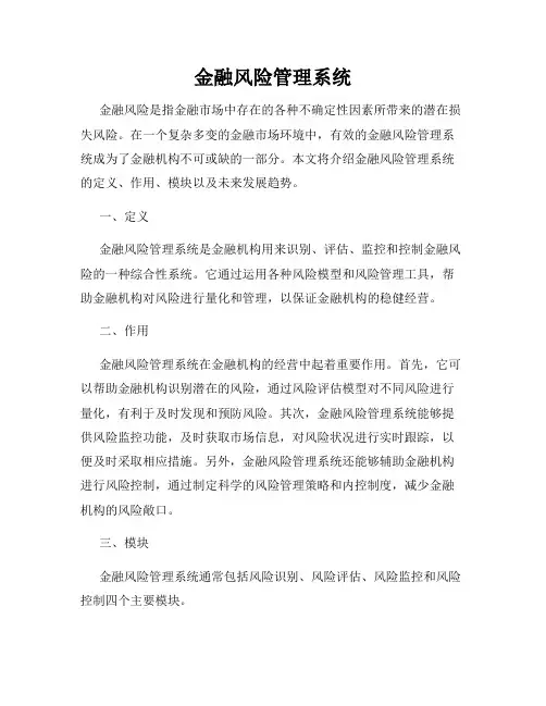 金融风险管理系统