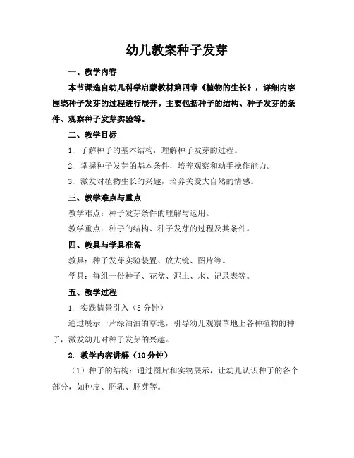 幼儿教案种子发芽