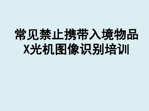 常见禁止携带入境物品的X光机图像识别培训