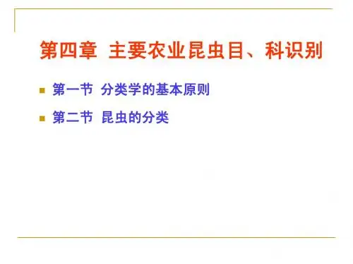 第四章  昆虫的分类1