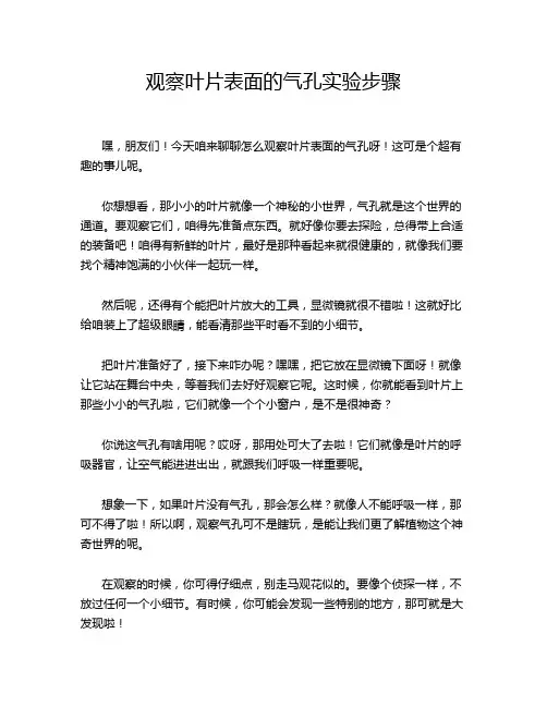 观察叶片表面的气孔实验步骤