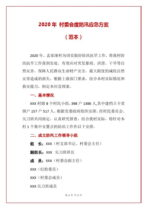2020年 村委会度防汛应急方案