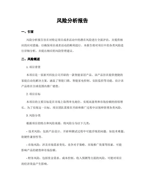 风险分析报告
