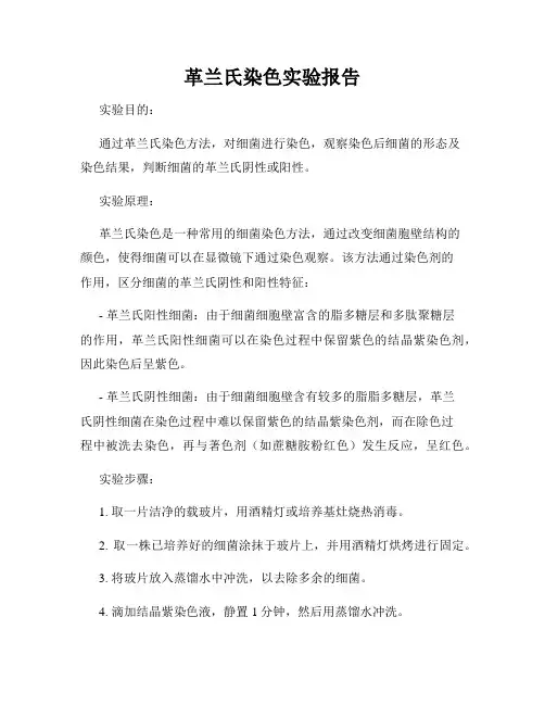 革兰氏染色实验报告