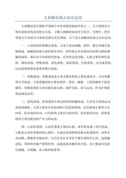 人体解剖重点知识总结