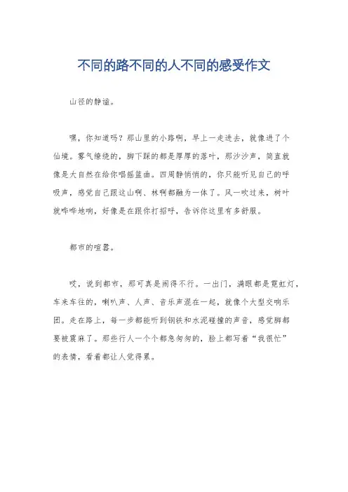 不同的路不同的人不同的感受作文