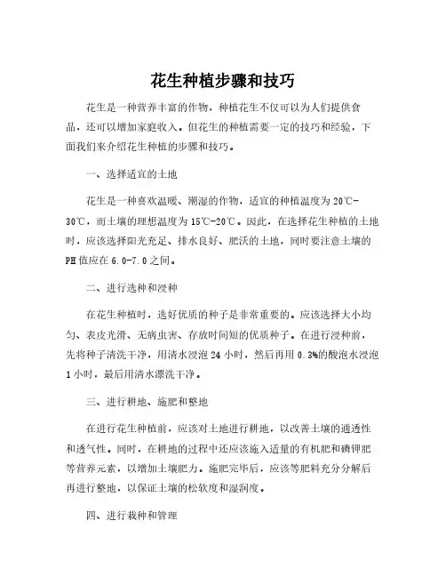 花生种植步骤和技巧