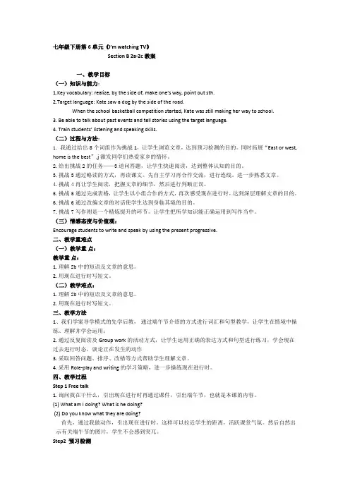 人教版七年级下册英语Unit6  I'm watching TV Section B 2a-2c教案