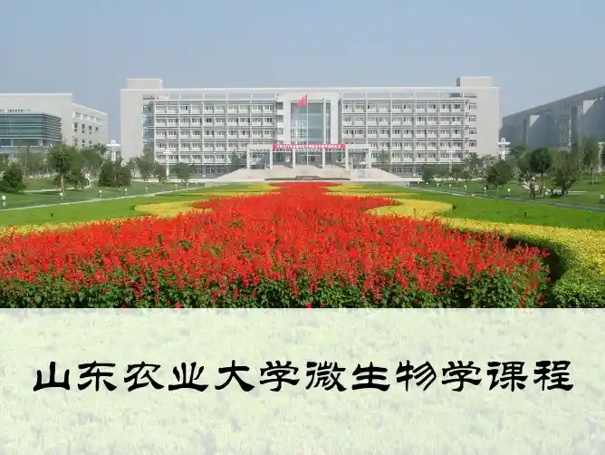 06第六章   微生物的生长及控制