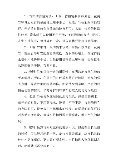 竹柏移栽后注意事项