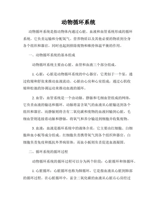 动物循环系统