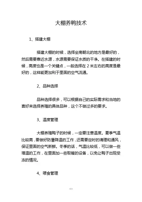 大棚养鸭技术