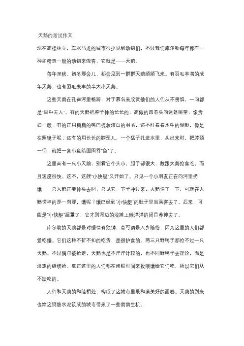 天鹅的考试作文