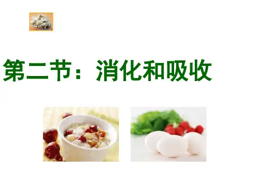 人教版初中生物七年级下册课件 第二章第二节 消化和吸收(共18  张ppt)