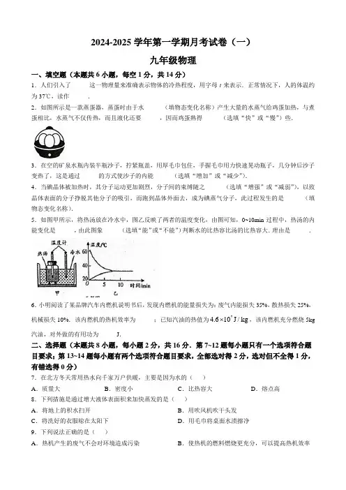 河南省周口市郸城县2024-2025学年九年级上学期10月月考物理试题