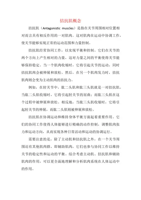 拮抗肌概念