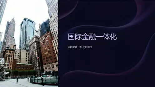 《国际金融一体化》课件