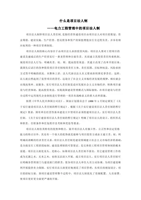 什么是项目法人制