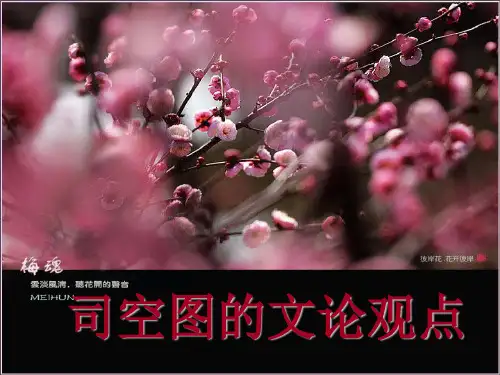 司空图文论观点