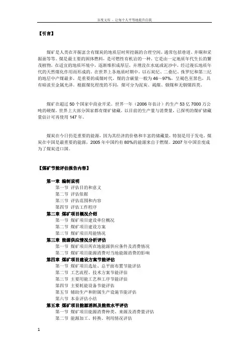 煤矿节能评估报告模板