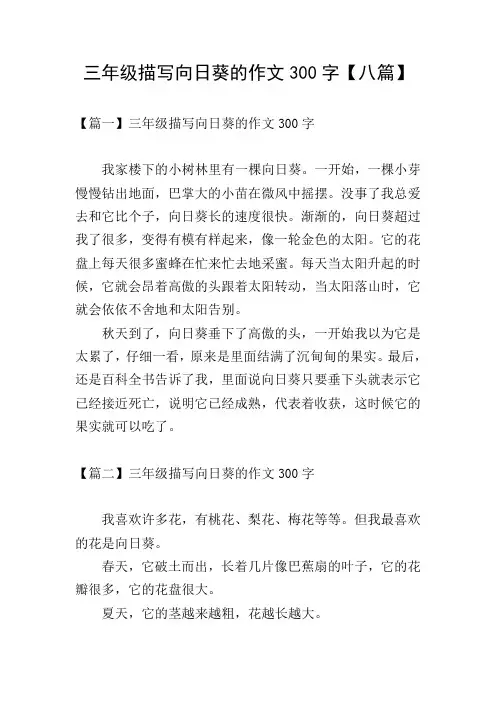 三年级描写向日葵的作文300字【八篇】