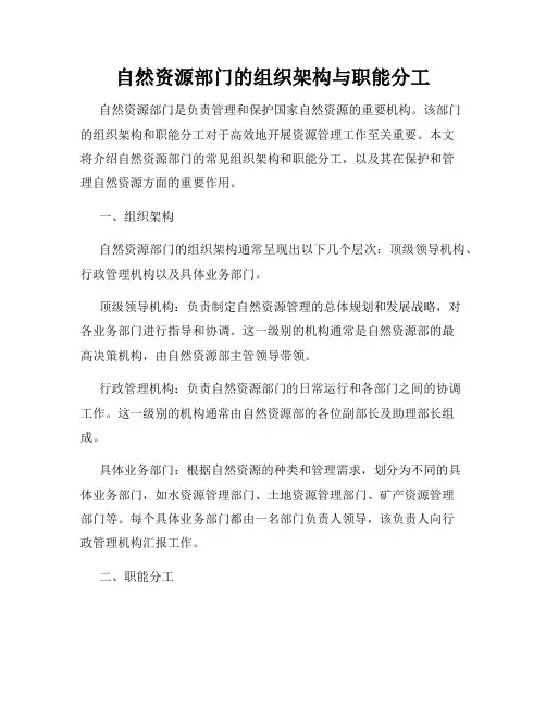 自然资源部门的组织架构与职能分工