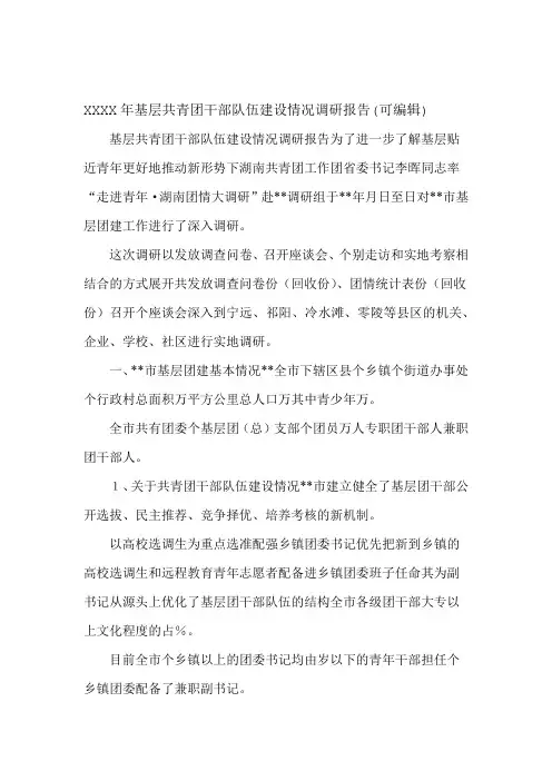 XXXX年基层共青团干部队伍建设情况调研报告可编辑