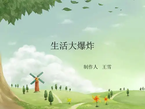 生活大爆炸