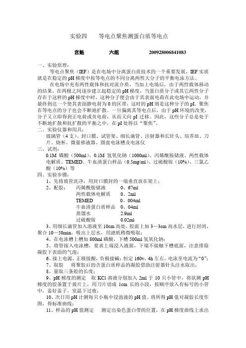 等电点聚焦测蛋白质等电点