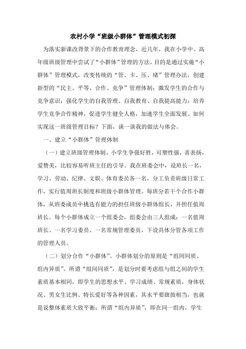 农村小学“班级小群体”管理模式