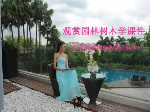 观赏园林树木学课件(常见园林树种数字化标本)