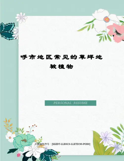 呼市地区常见的草坪地被植物