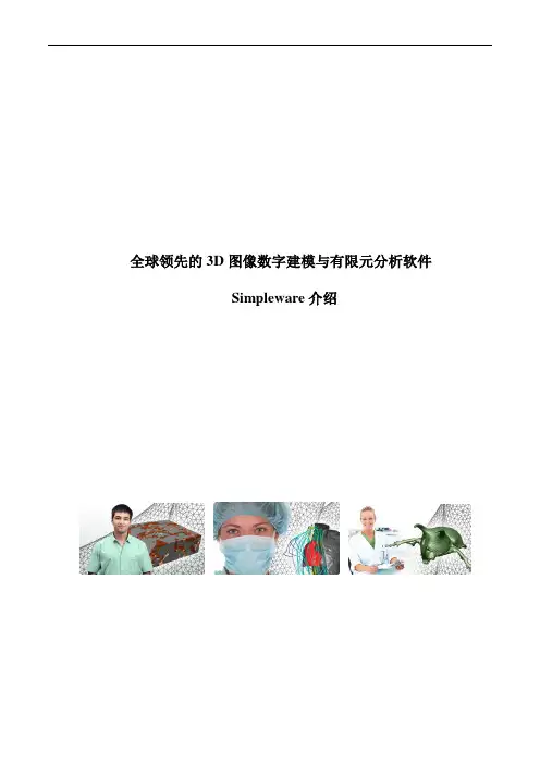 全球领先的3D图像数字建模与有限元分析软件simpleware