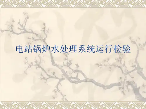 锅炉水处理系统运行检验导则