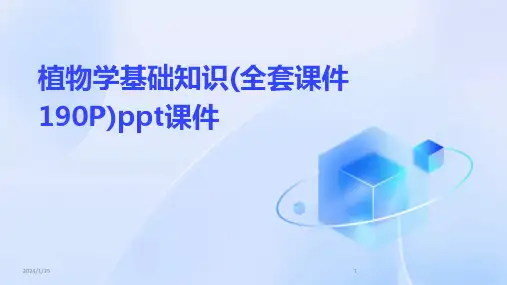 17427_植物学基础知识(全套课件190P)ppt课件