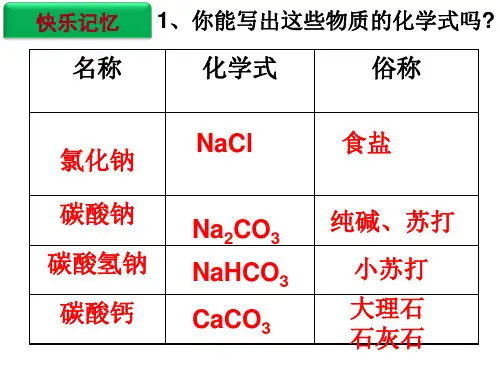 盐的化学性质(2014公开课课件)