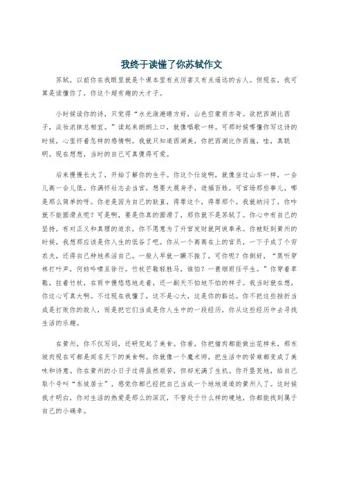 我终于读懂了你苏轼作文
