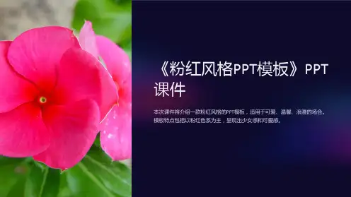 《粉红风格模板》课件