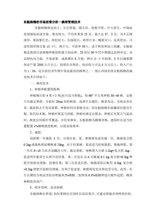 东魁杨梅的市场前景分析—栽培管理技术