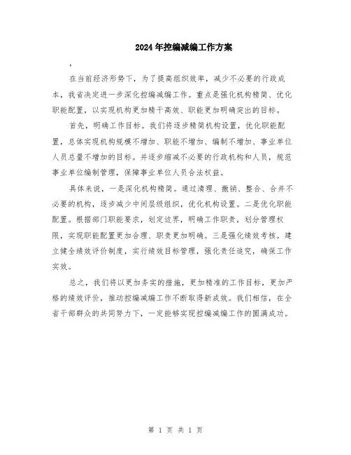 2024年控编减编工作方案