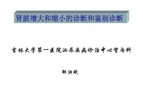 肾脏增大和缩小诊断与鉴别诊断