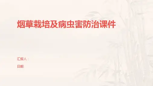 烟草栽培及病虫害防治课件