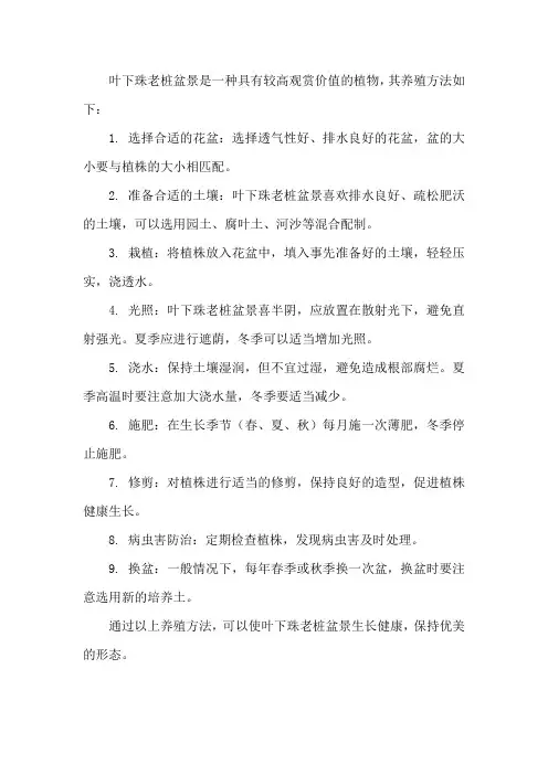 叶下珠老桩盆景的养殖方法