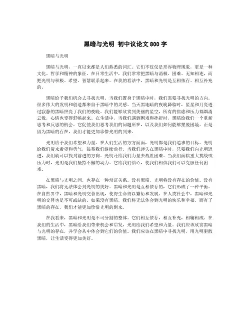 黑暗与光明 初中议论文800字