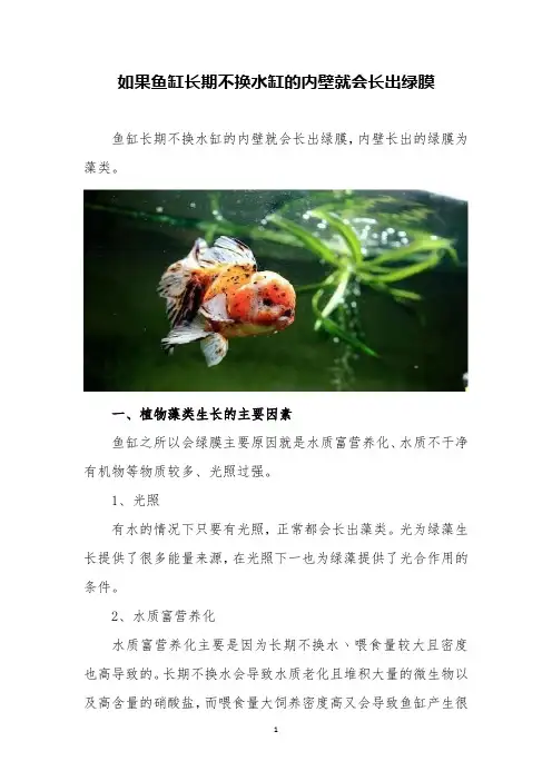 如果鱼缸长期不换水缸的内壁就会长出绿膜