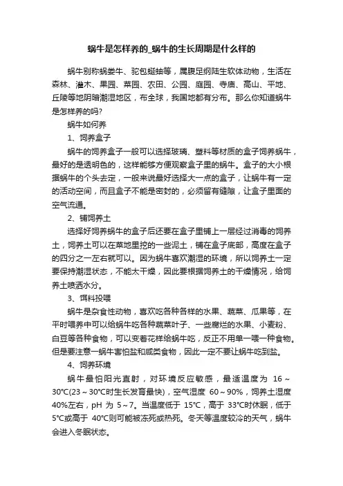 蜗牛是怎样养的_蜗牛的生长周期是什么样的