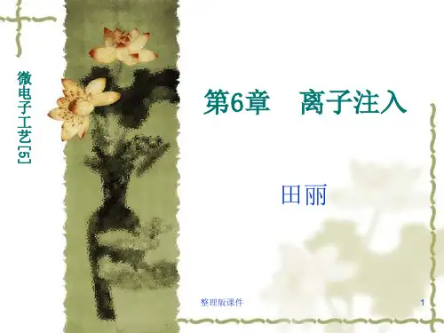 离子注入技术ppt课件
