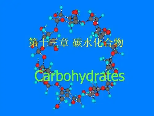 c 13 碳水化合物